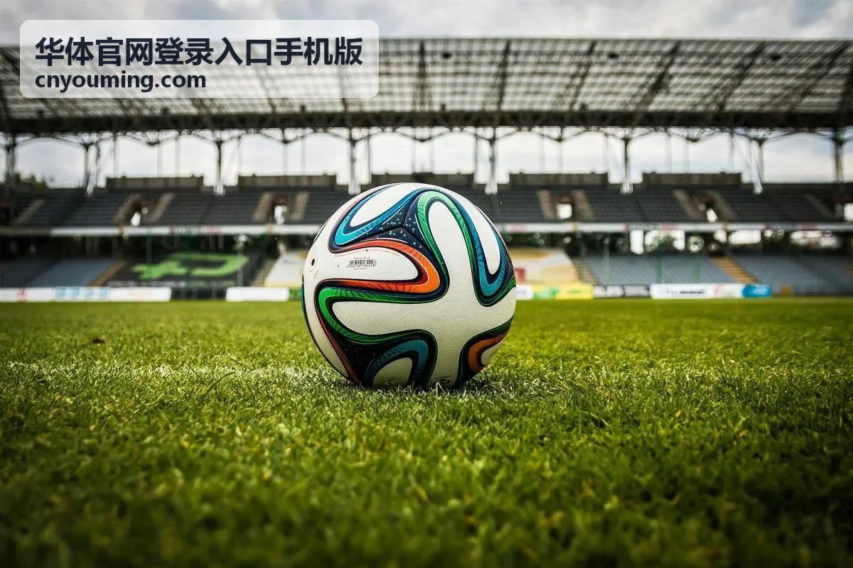 华体官网登录入口手机版移动端使用体验
