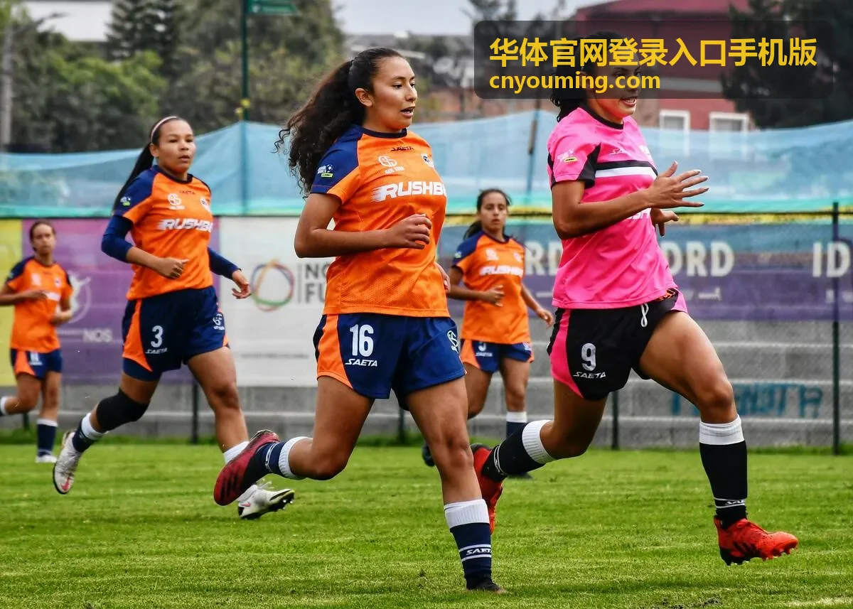华体官网登录入口手机版多端同步服务